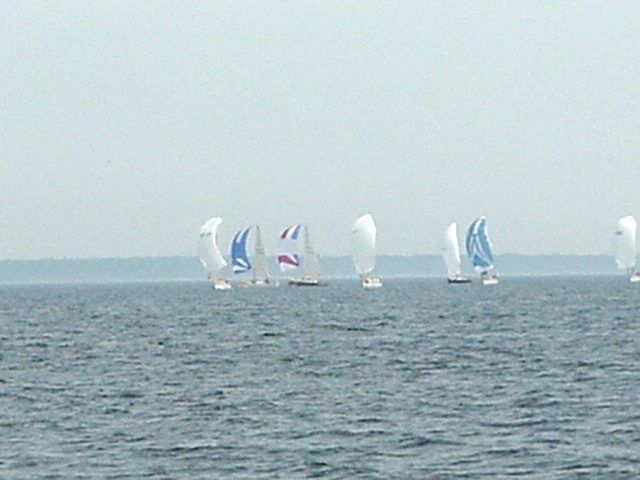 regatta2.JPG